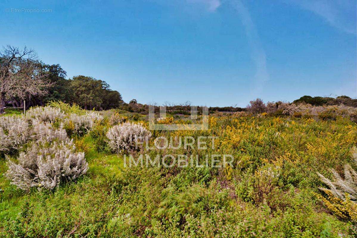 Maison à ARGELES-SUR-MER