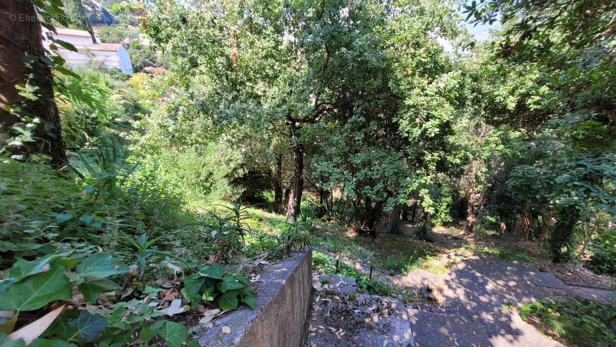 Maison à MANDELIEU-LA-NAPOULE