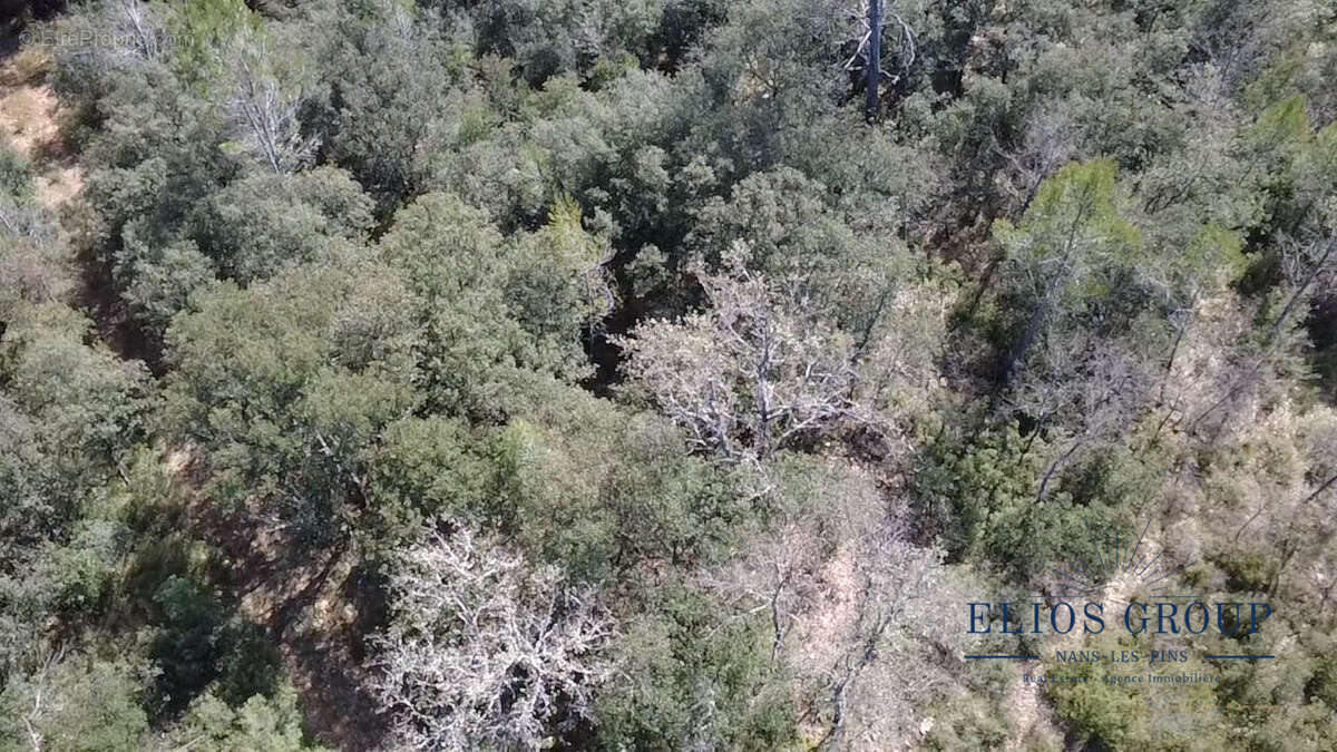 Terrain à NANS-LES-PINS