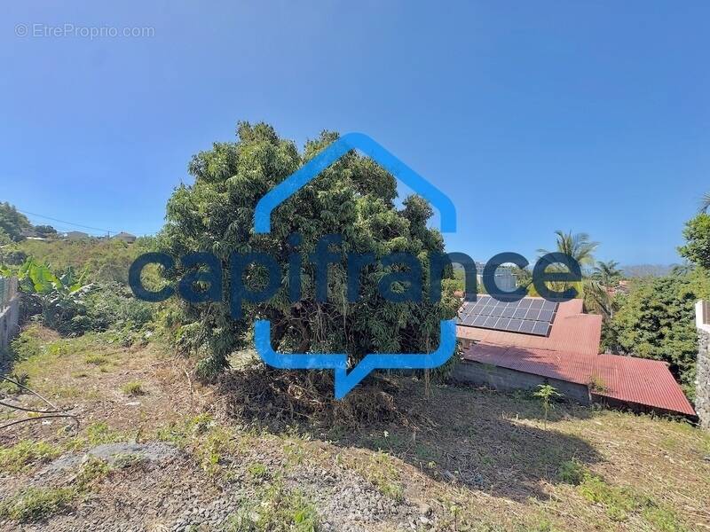 Terrain à SAINT-LOUIS