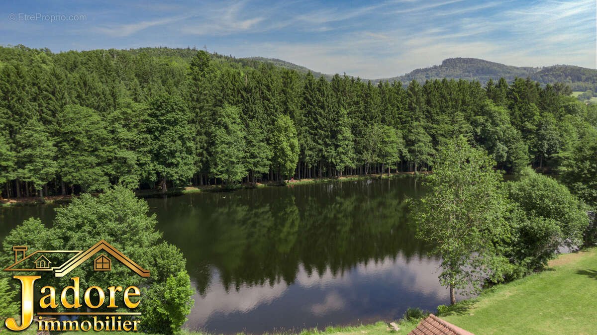 Maison à BAN-SUR-MEURTHE-CLEFCY