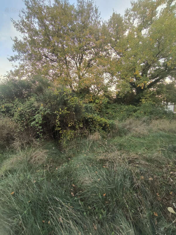 Terrain à SAINT-GENIES-DE-MALGOIRES