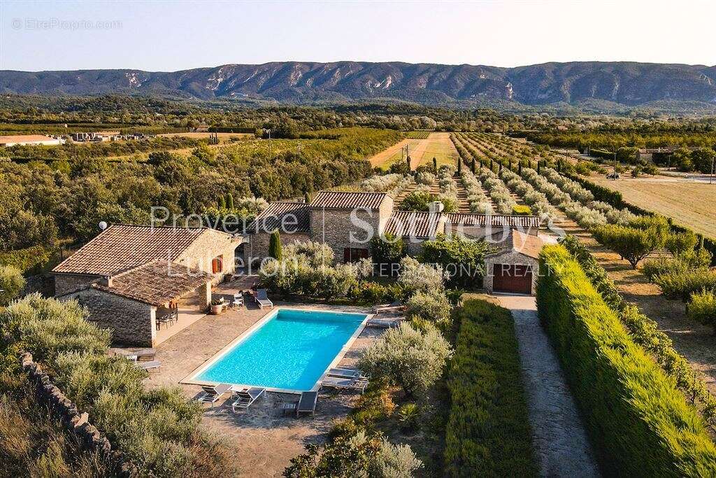 À Gordes, une oliveraie d’exception face au Luberon - photo 20