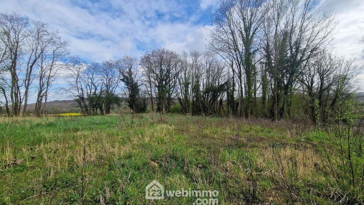 Terrain 2996 m² à Chamouille  - photo 4