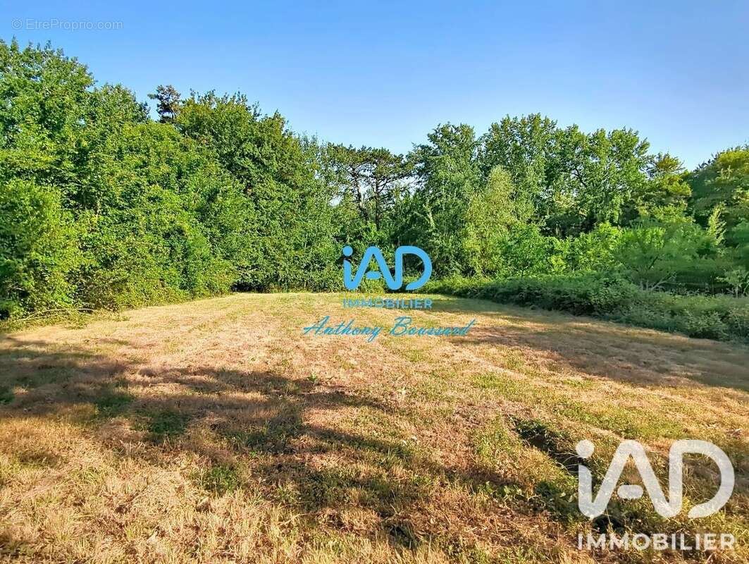 Maison 225 m² à Brie-Comte-Robert  - photo 5
