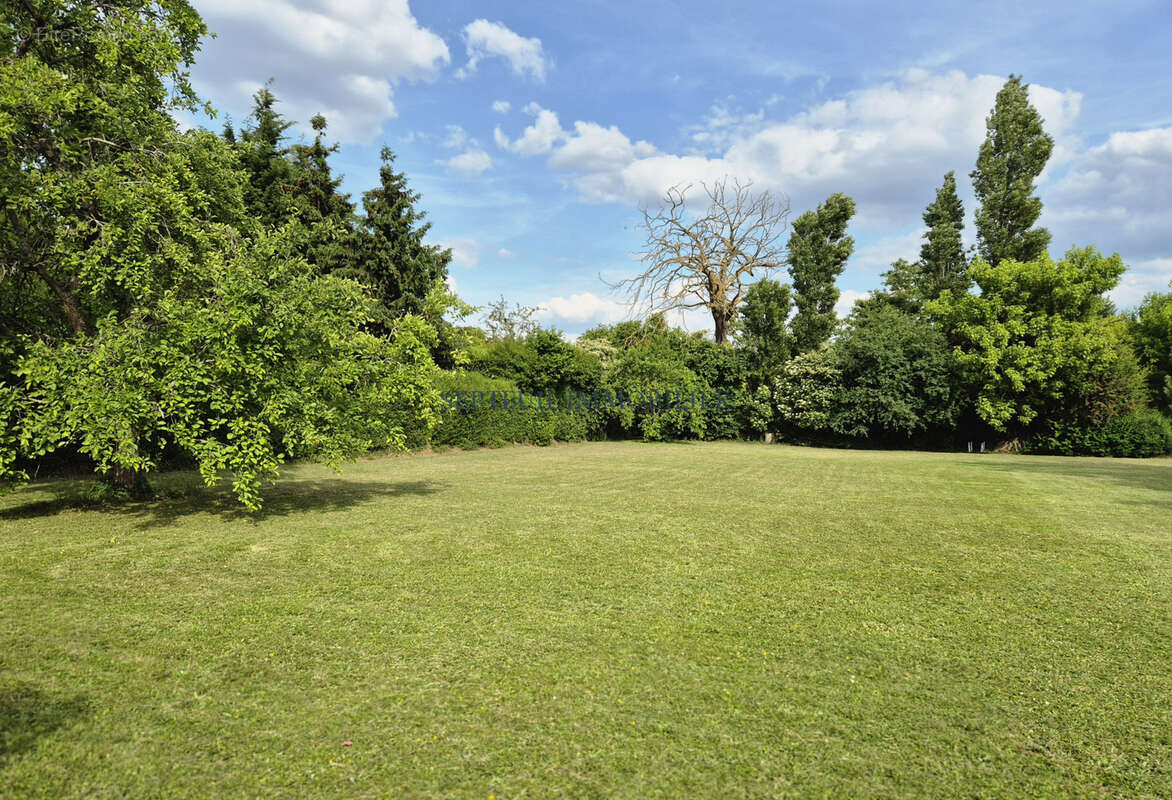 Maison ancienne ancienne avec dépendances. 360 m2 habitables sur 5 790 m2 de terrain. - photo 22