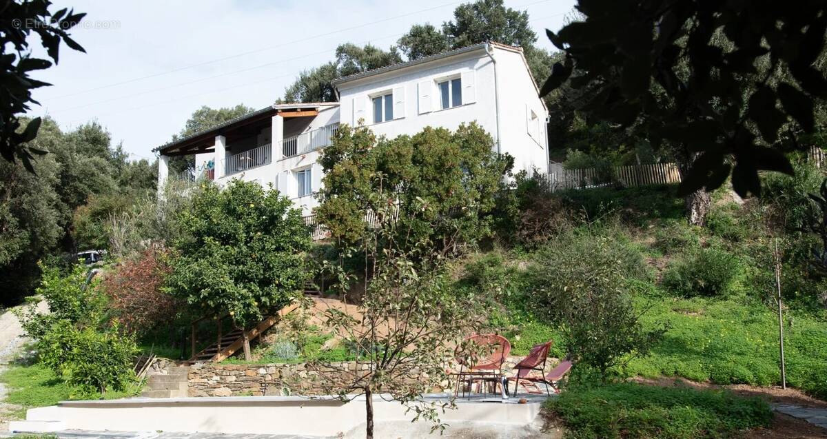 Maison à POGGIO-D'OLETTA