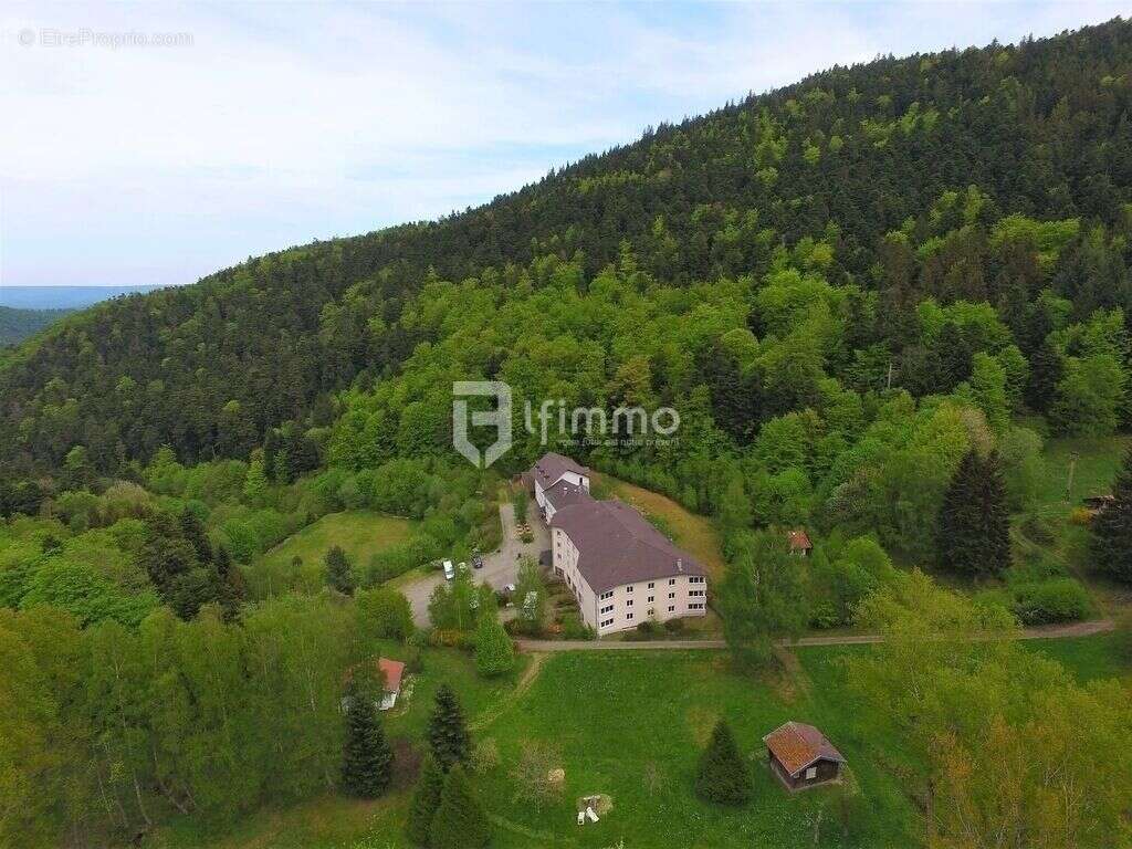 Immeubles 5000 m2 sur 4 ha Murbach - photo 3