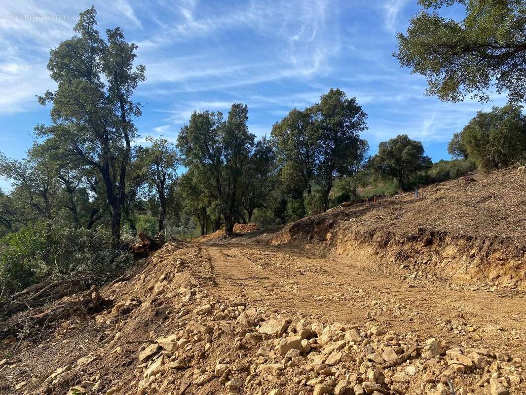 Terrain à TAVACO