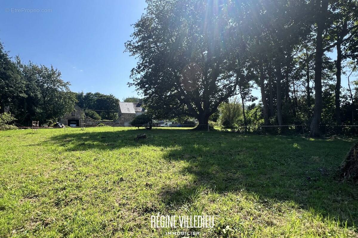 Terrain à TOURLAVILLE