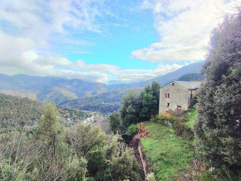 Maison à PIE-D'OREZZA