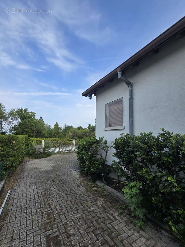 Maison 7 pièces, 167 m2 - photo 16