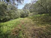 Photo Garrigue d\&#039;Uzès 1 - Terrain à UZES