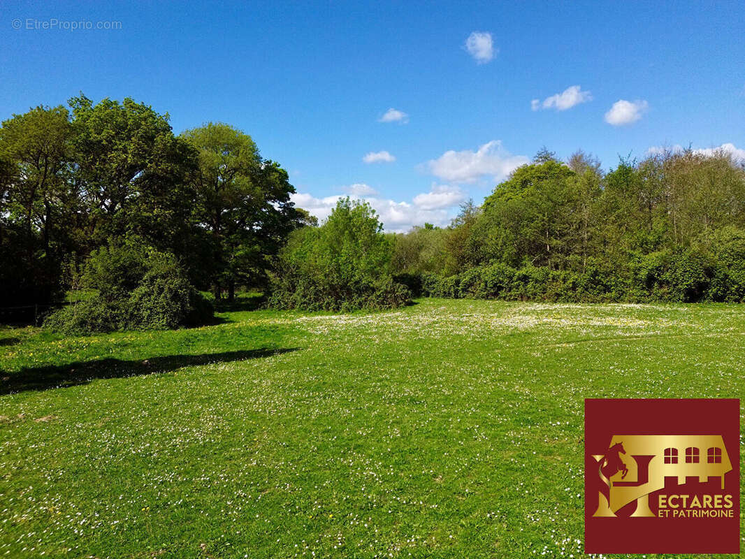 Maison à NORT-SUR-ERDRE