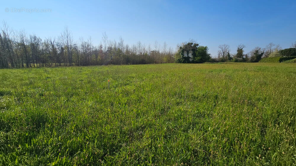 Terrain à LAFOX