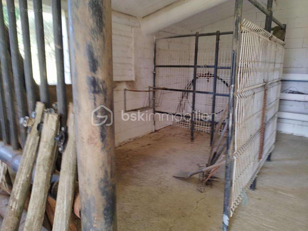 Propriété de 2 habitations et hangars - photo 14