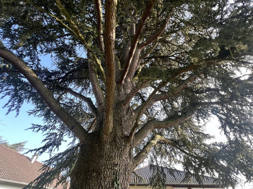 Maison à SAINT-LOUIS