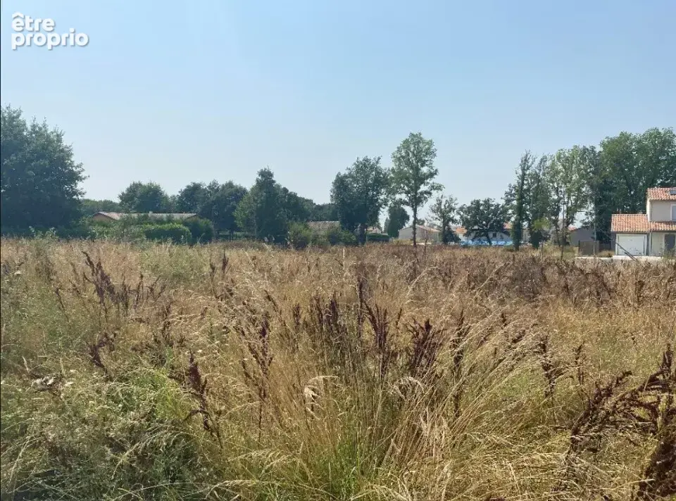 Terrain 760 m² à vendre à Negrepelisse (82800) - photo 3