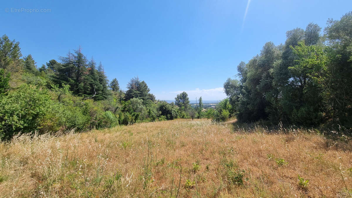 Terrain constructible arboré de 1 690 m2 hors lotissement à Caunes-Minervois - photo 3