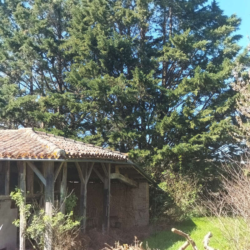 Maison à SIMORRE