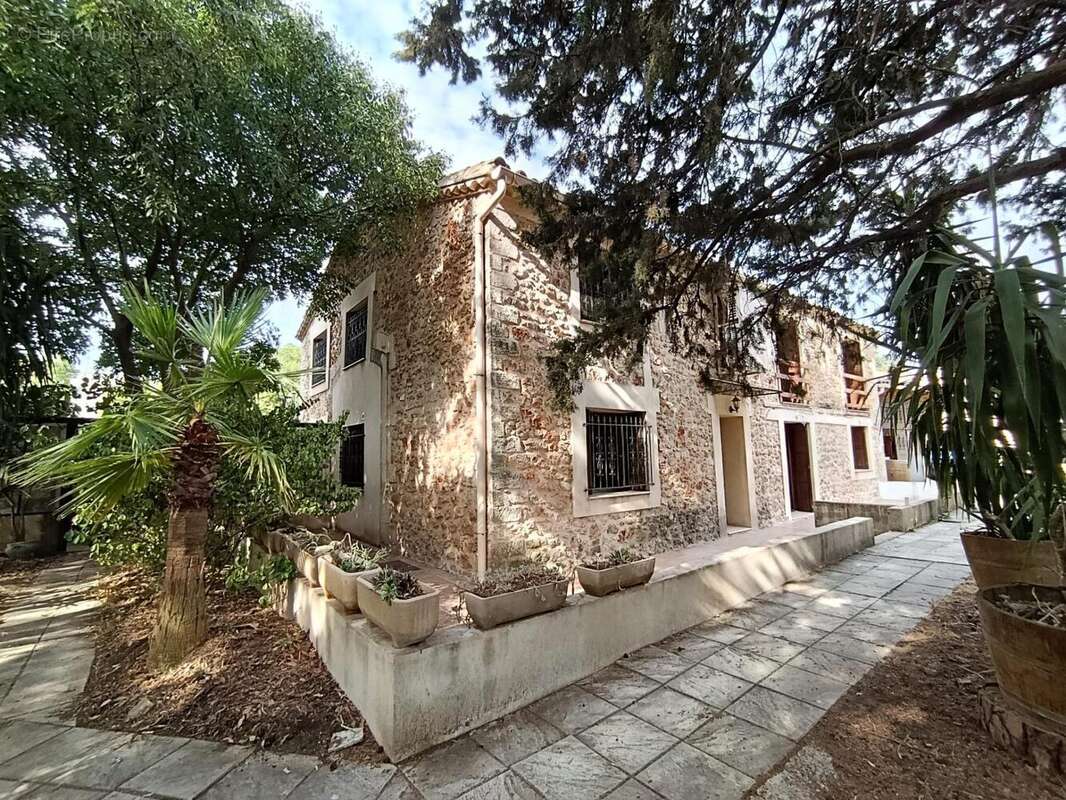 Photo 7 - Maison à MONTPELLIER