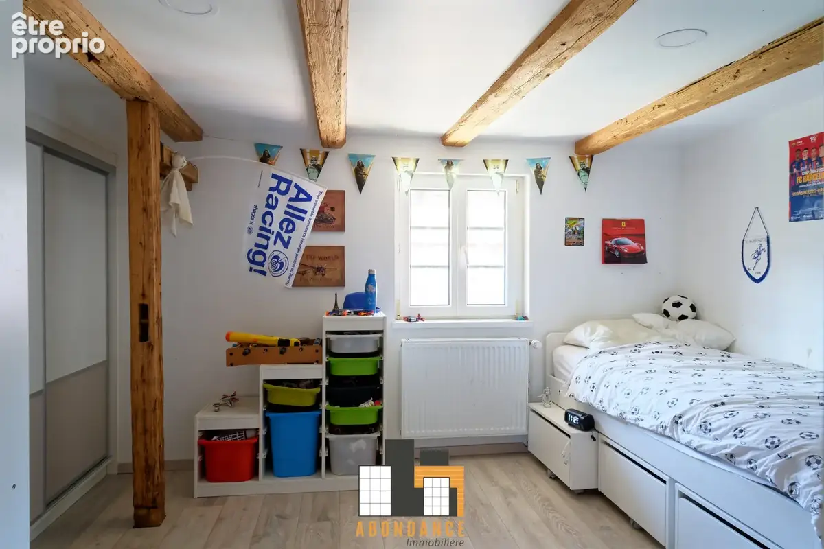 La Wantzenau Village charme et modernité pour cette maison de 256m2 hab sur 7.77a! - photo 24