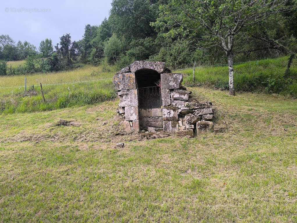 Propriété de 3,2 hectares avec deux maisons - photo 3