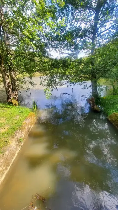 Photo Terrain à Chisseaux au prix de 87 900€
