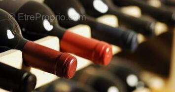 Commerce à MARSEILLE-4E