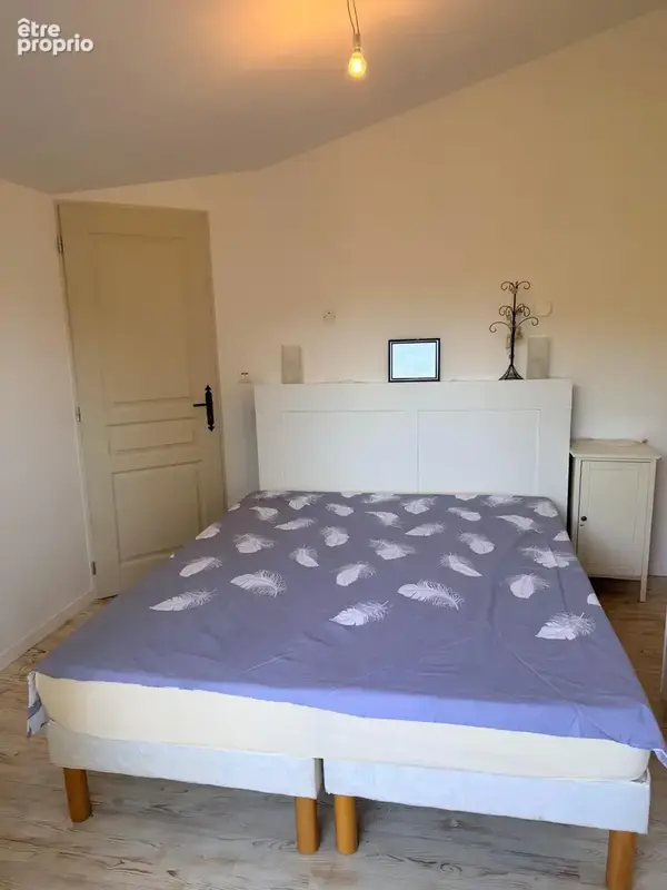 LE HAUT VERNET (04140)-Beau CHALET- 80m2 + Garage et atelier 80m2-Terrain 750 m2 - 275 000 € - photo 9