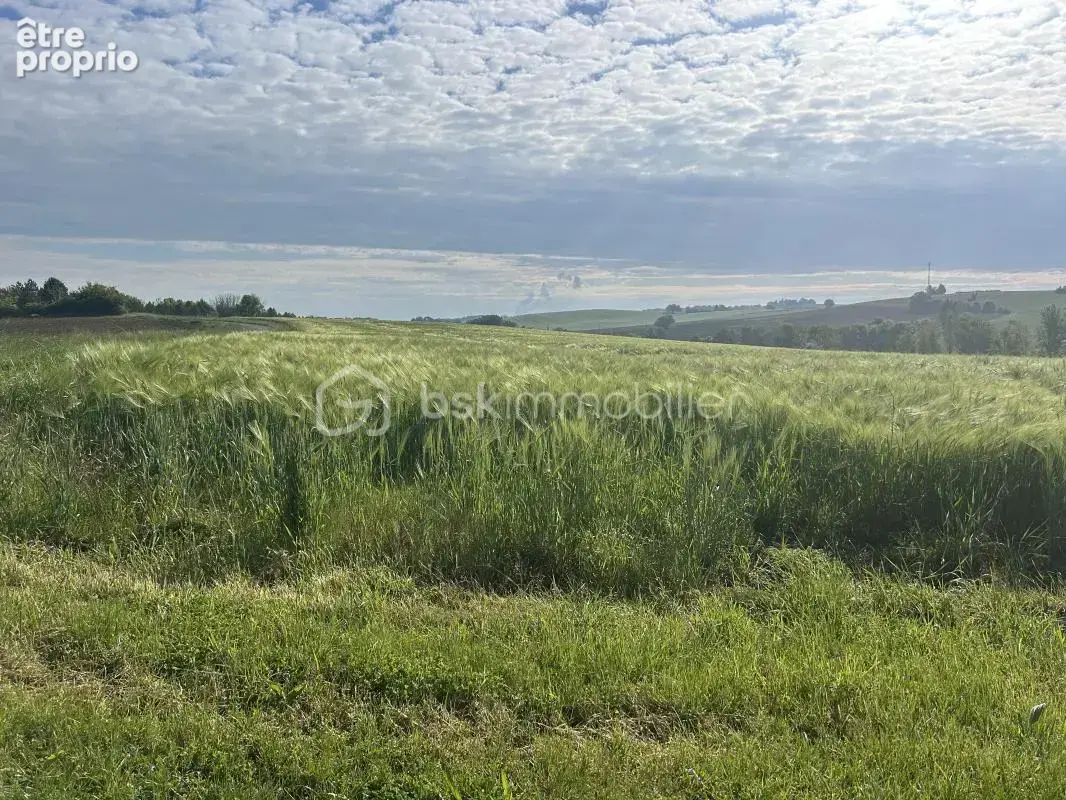 Magnifique propriete en pierres - vue - calme - gites - dependances - source - etang - photo 22