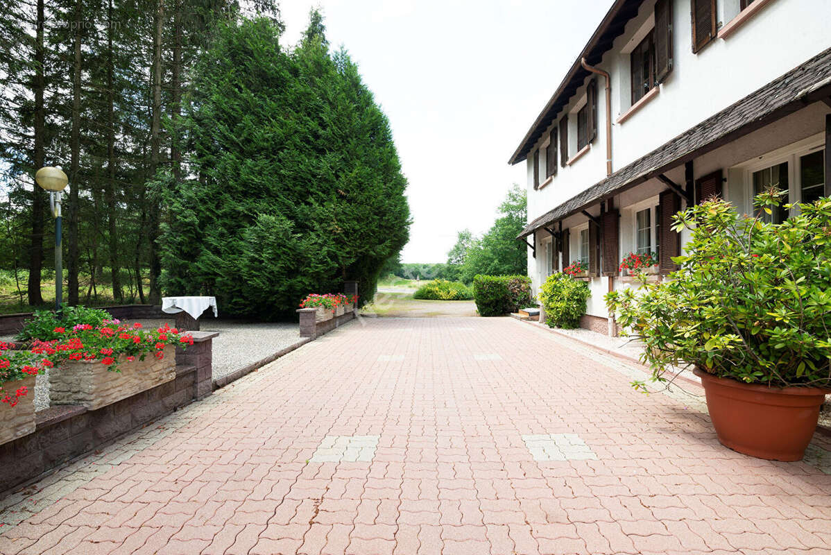 Maison à LONGEVILLE-LES-SAINT-AVOLD