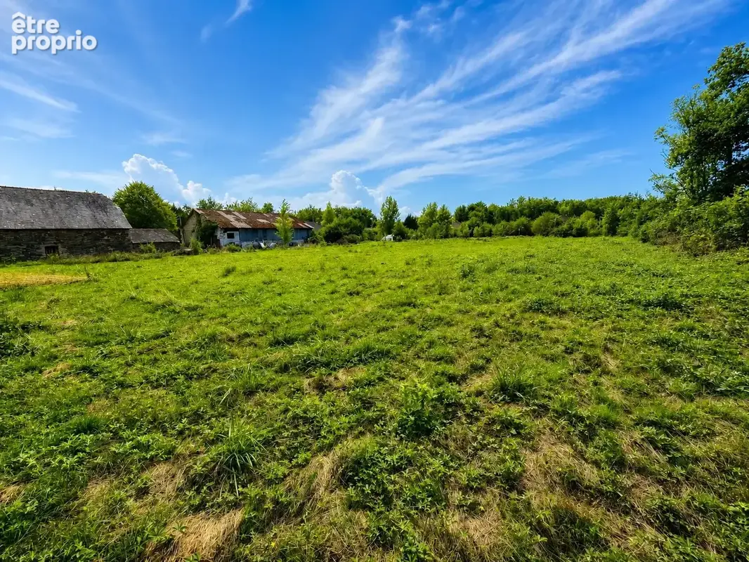 Terrain 2300 m² à Allassac  - photo 4