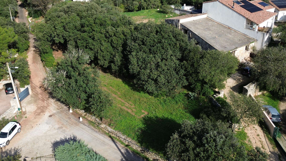 Terrain à PUECHABON