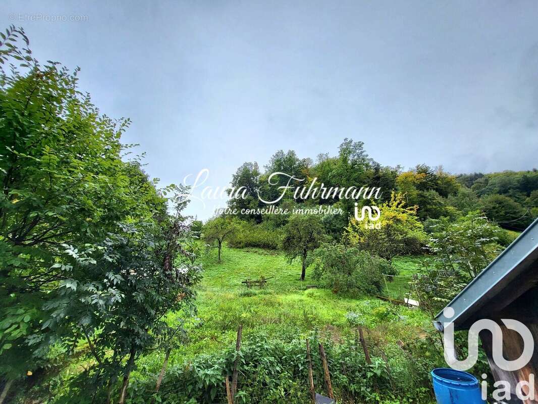 Photo 5 - Maison à FRELAND