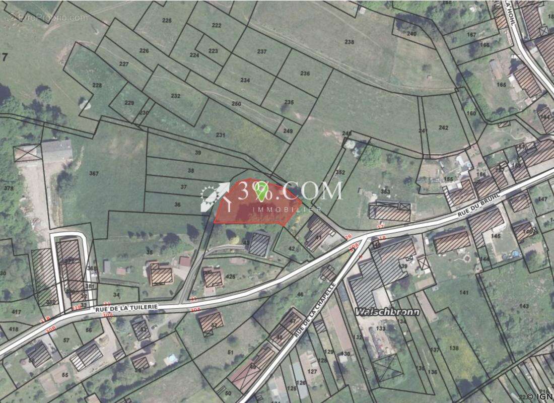 Terrain à WALSCHBRONN
