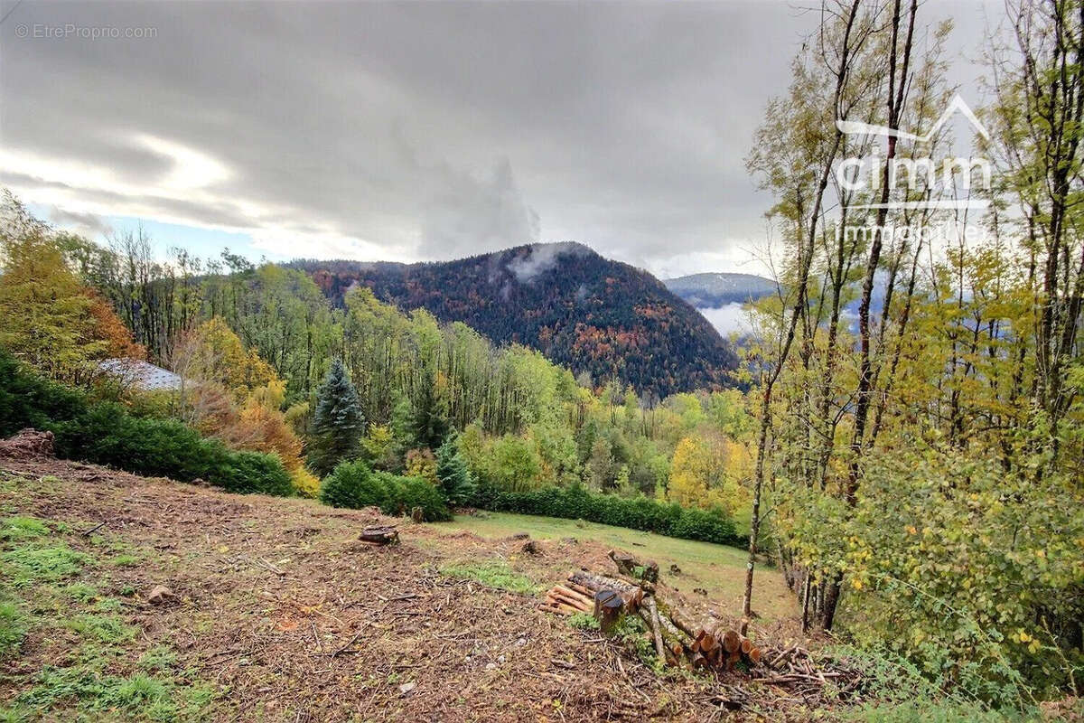 Terrain 1039 m² à Saint-Sigismond  - photo 2