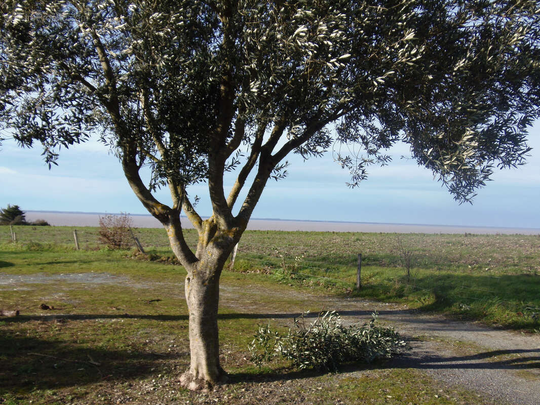 Maison à CHENAC-SAINT-SEURIN-D'UZET