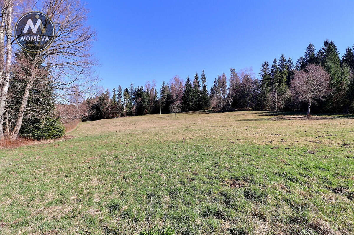 Maison à CHENEREILLES