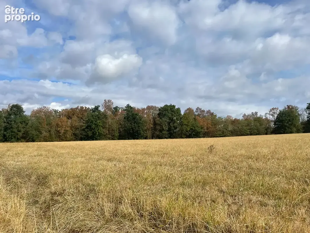 Bois sur les hauteurs d' Auxerre 11380 m2 - photo 3