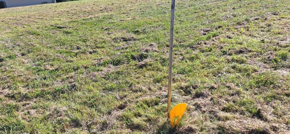 Terrain à LE BURGAUD