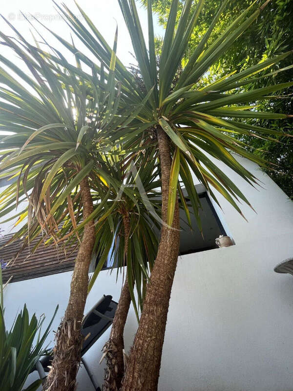 Maison à LA ROCHELLE