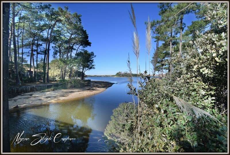 Appartement à SOUSTONS