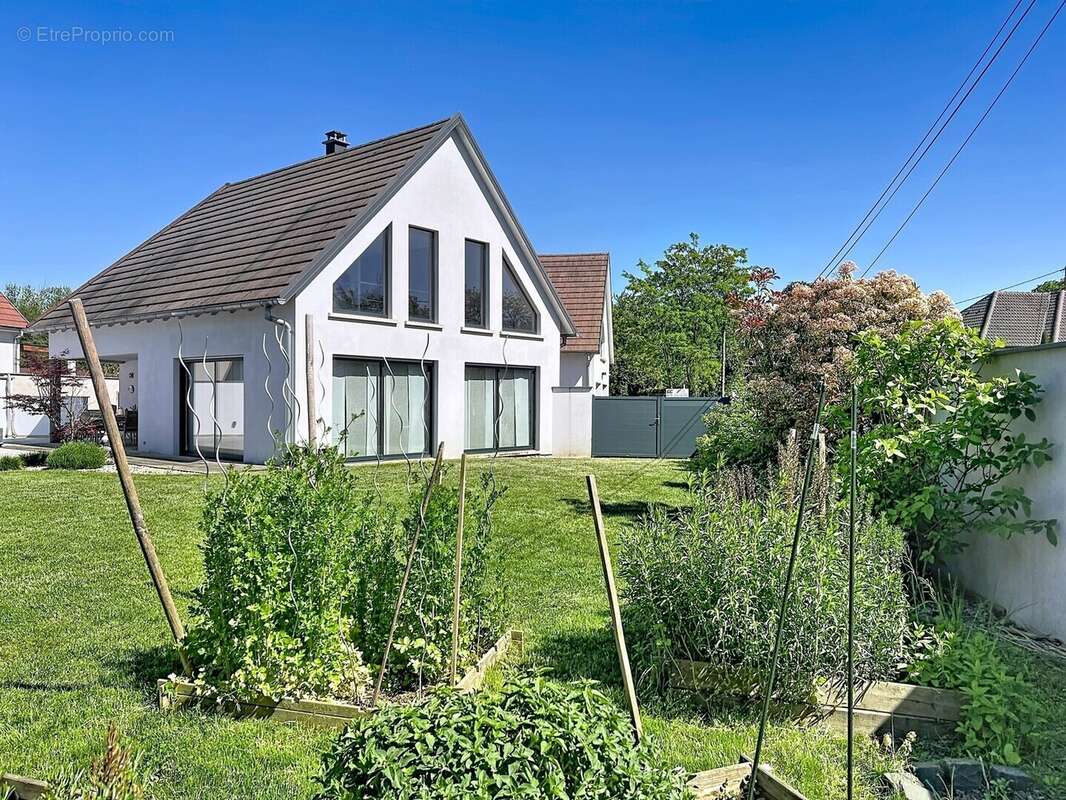 Maison à MATZENHEIM