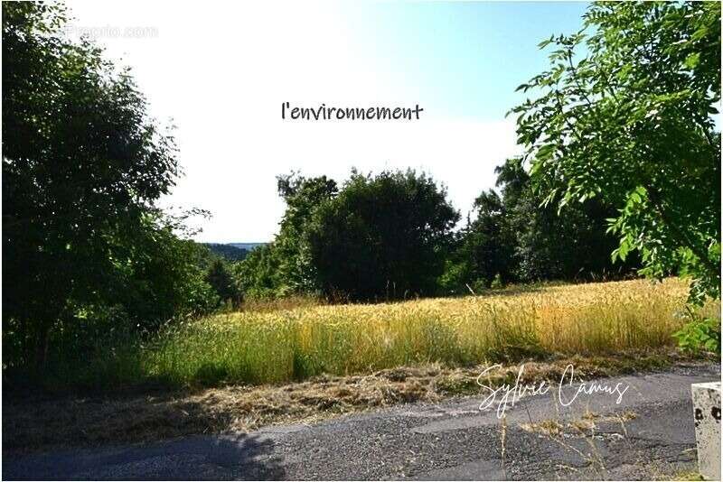 Terrain à vendre de 1 300,00 m² SAINT PAL DE MONS (43) - photo 5