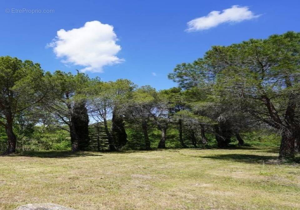 Terrain à VILLENEUVE-LES-CORBIERES
