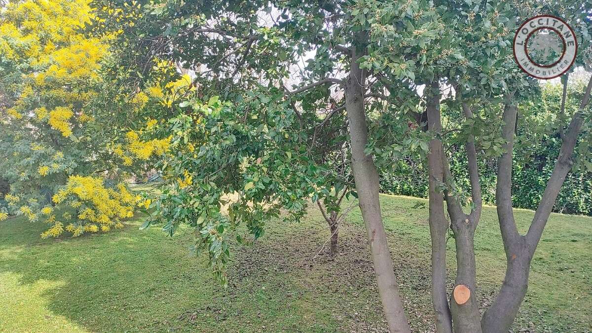 Maison à L'ISLE-JOURDAIN