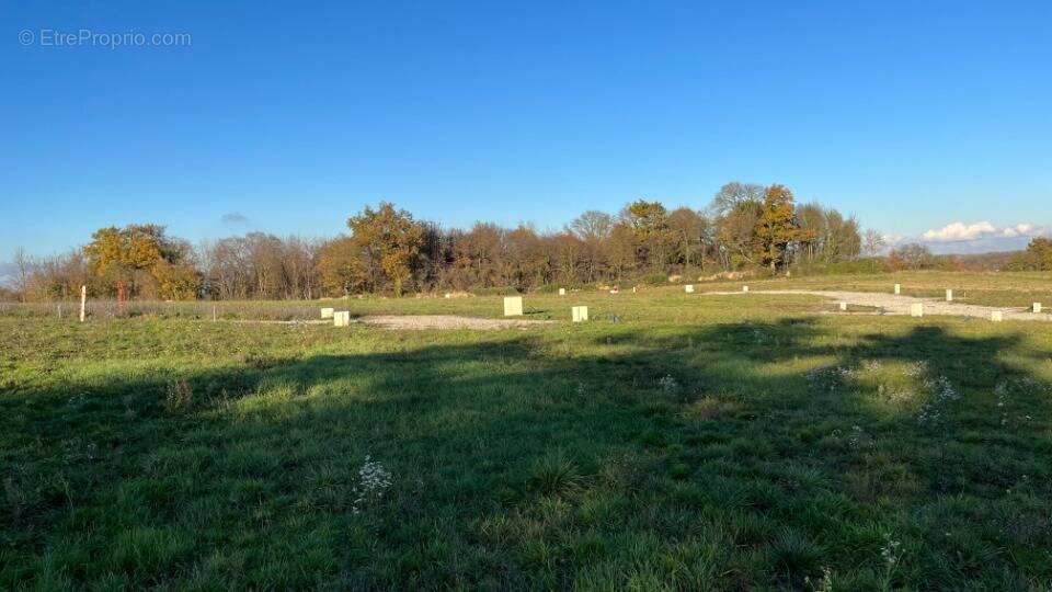 Terrain à MONTANAY