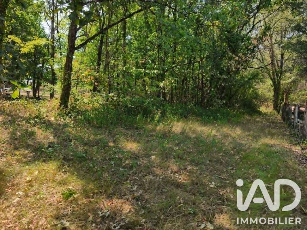 Terrain 1548 m² à Clerac  - photo 6