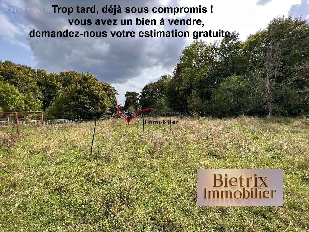 Terrain à L'ISLE-ADAM